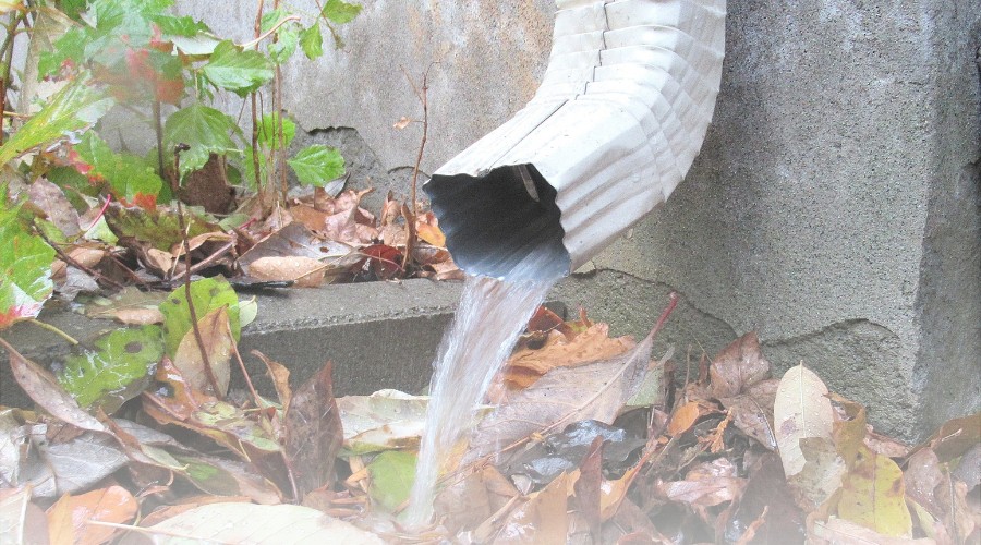 Gutter Cleaning - Image 2