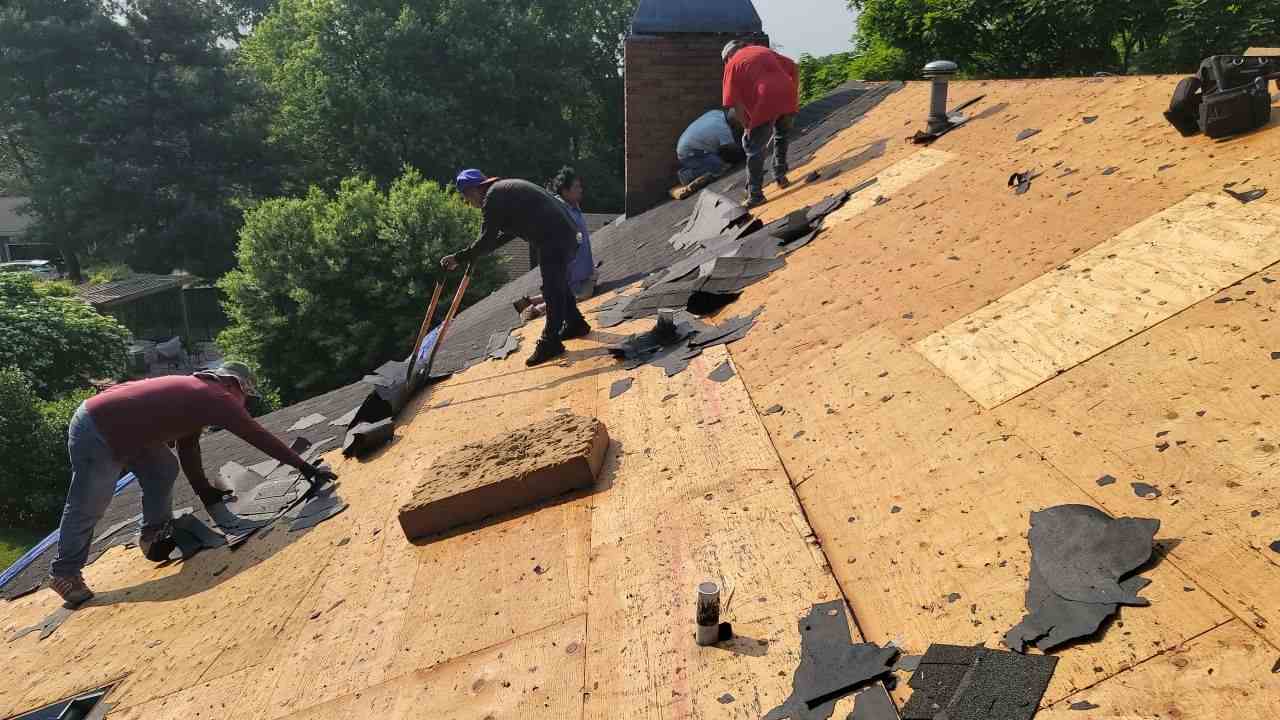 New Roof Installations